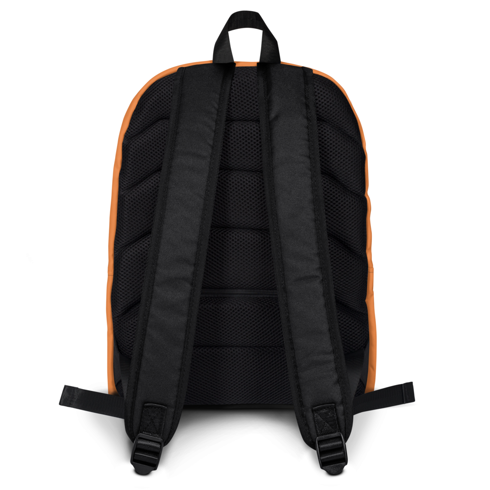 Everyday Backpack | Laptop & Travel Backpack