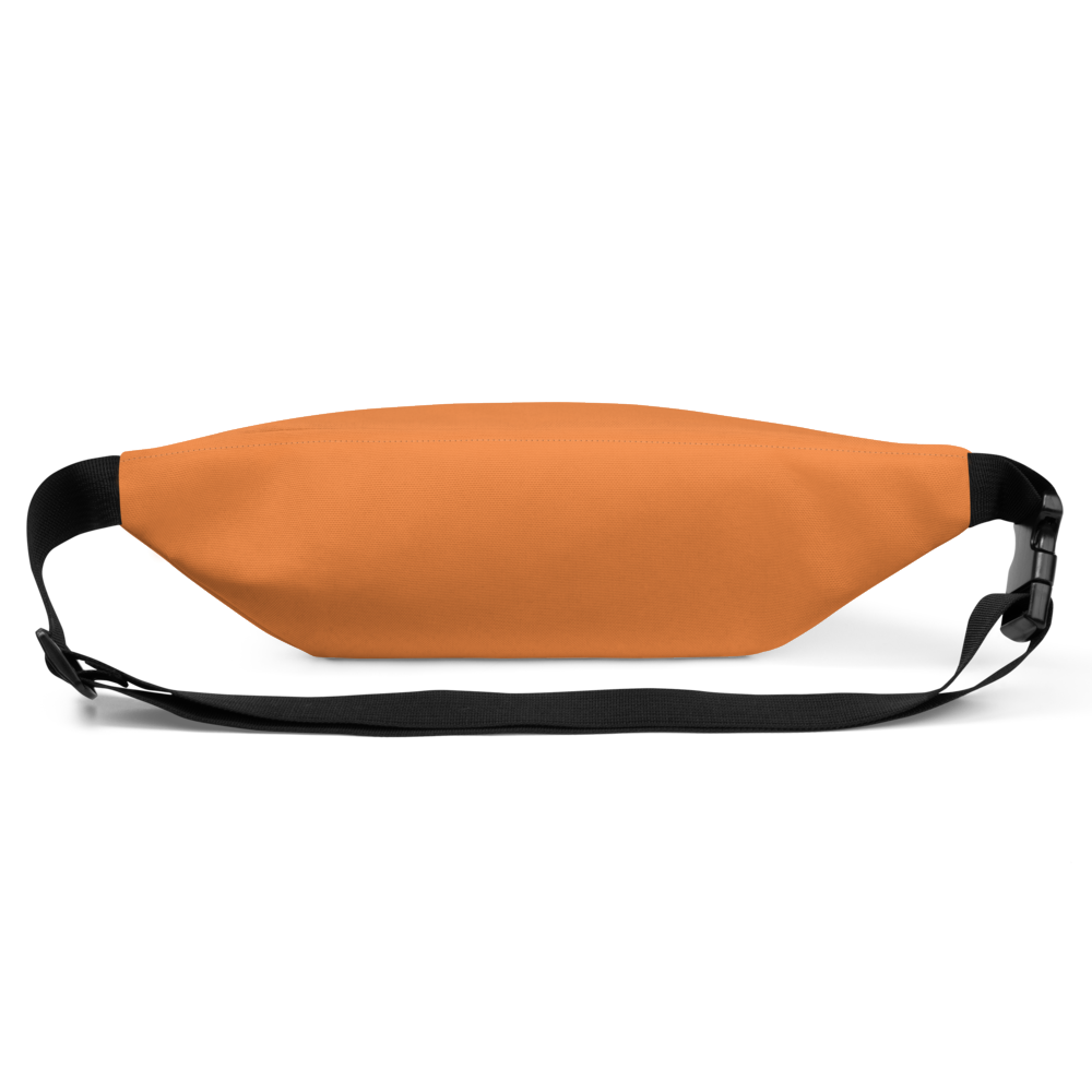 Water-Resistant Fanny Pack | Adjustable Waist Bag for Travel & Festivals
