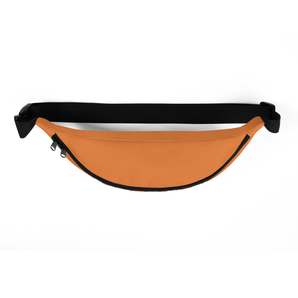 Water-Resistant Fanny Pack | Adjustable Waist Bag for Travel & Festivals